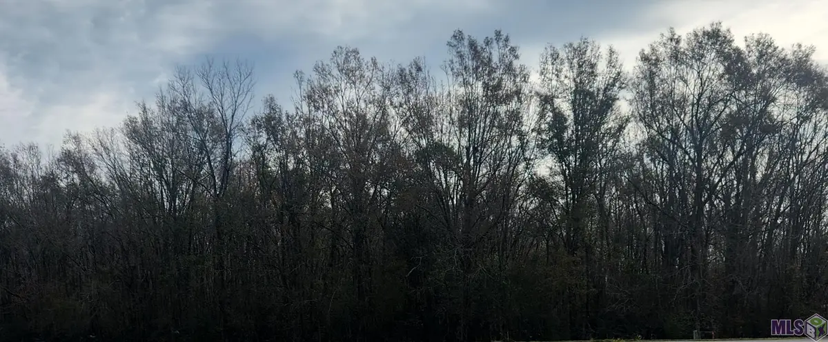 tbd Main St, Sorrento, LA 70778 - #1