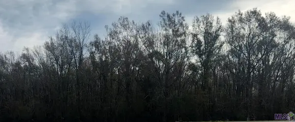 tbd Main St, Sorrento, LA 70778