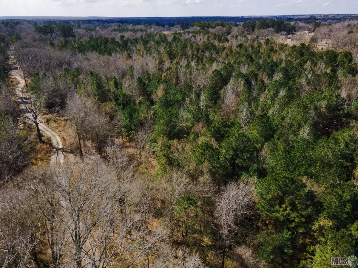 5905 Line Rd, Ethel, LA 70730 - #1