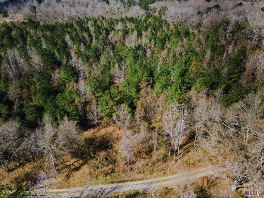 5905 Line Rd, Ethel, LA 70730 - #2