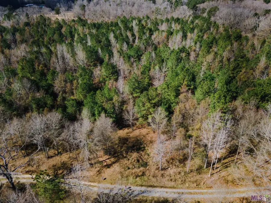 5905 Line Rd, Ethel, LA 70730 - #3