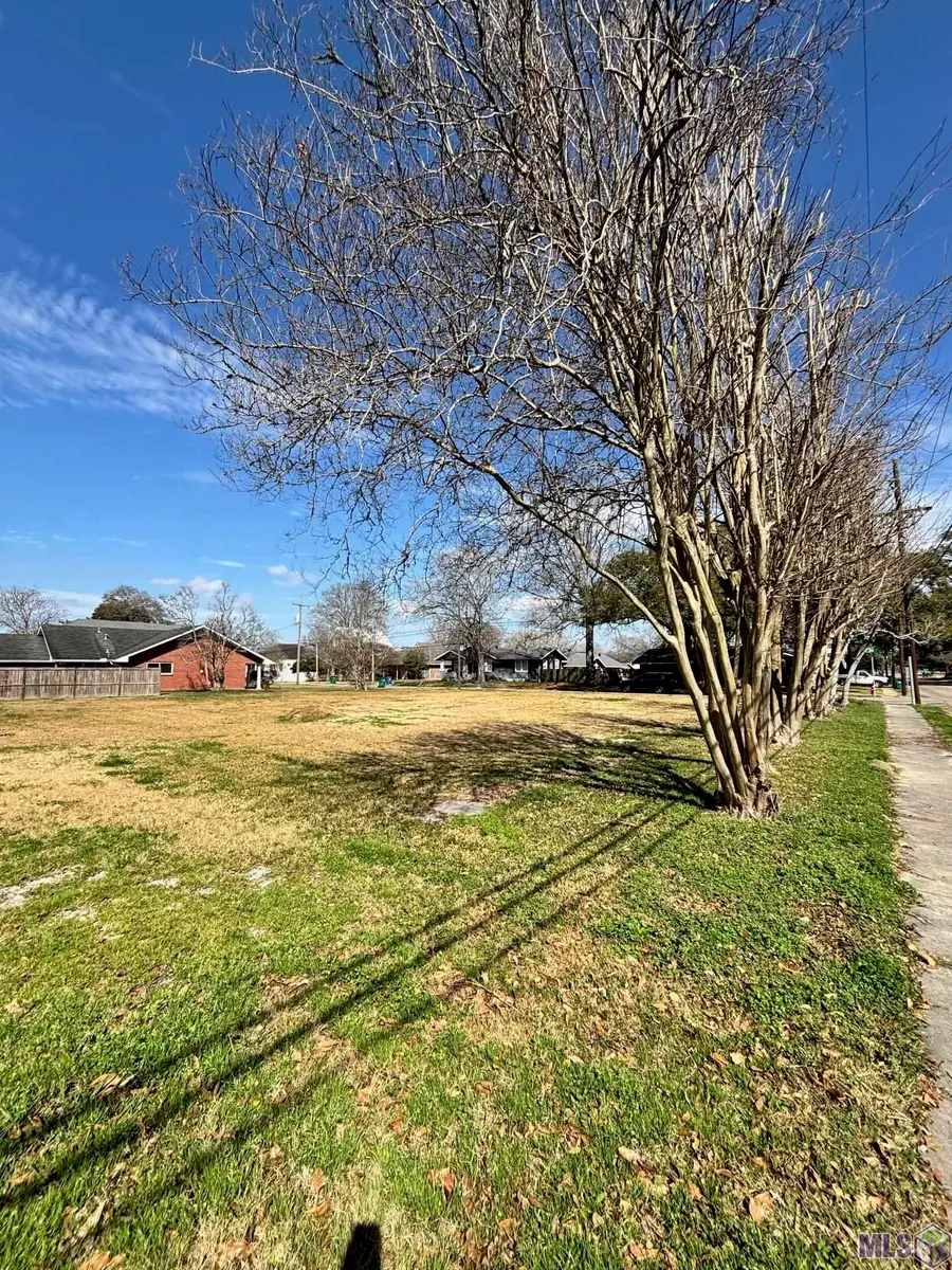 24026 Baist St, Plaquemine, LA 70764 - #3