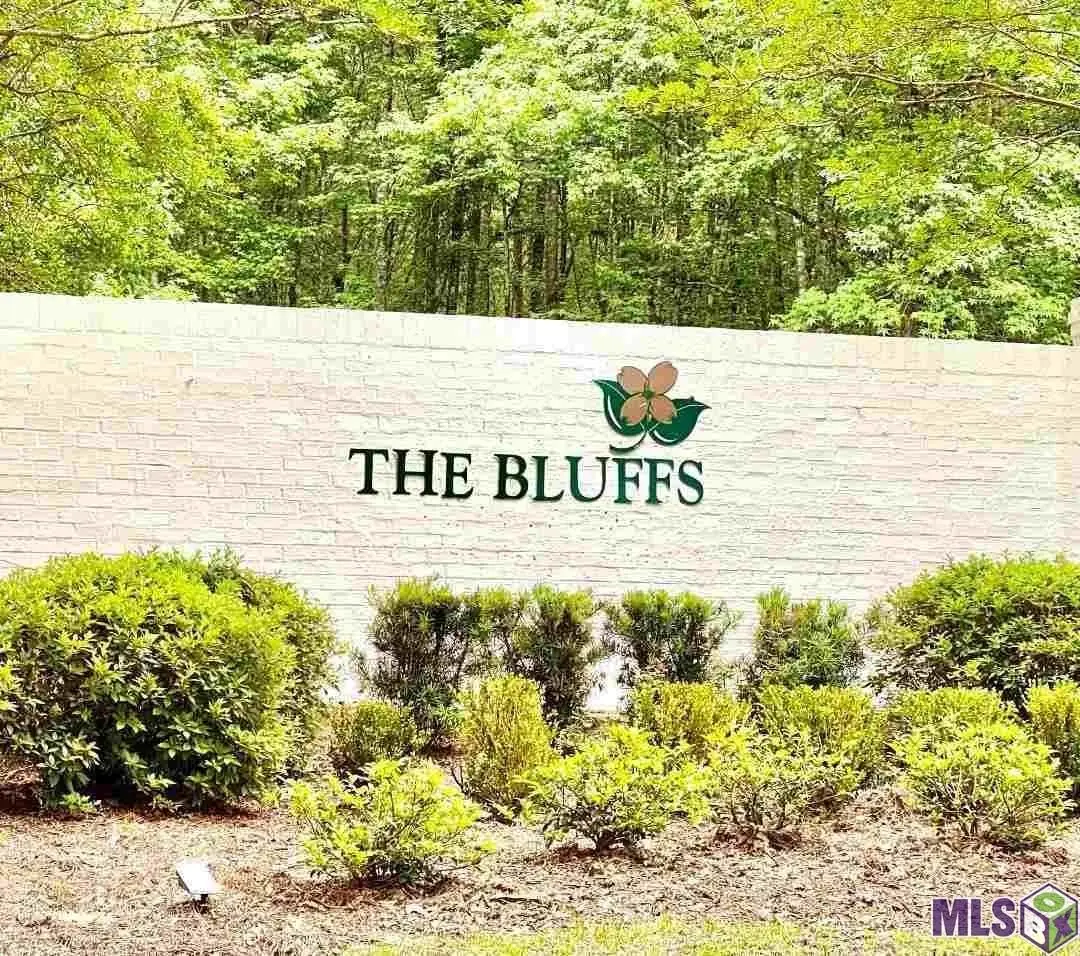 14080 Clubhouse Way Dr, Saint Francisville, LA 70775 - #1