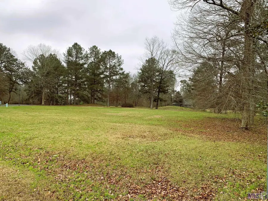 14080 Clubhouse Way Dr, Saint Francisville, LA 70775 - #2