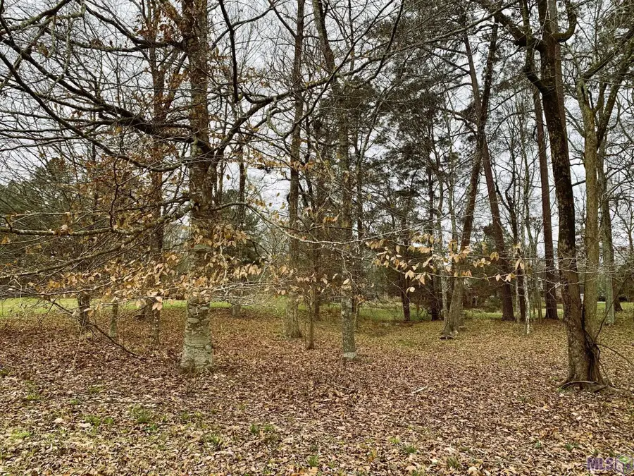 14080 Clubhouse Way Dr, Saint Francisville, LA 70775 - #3