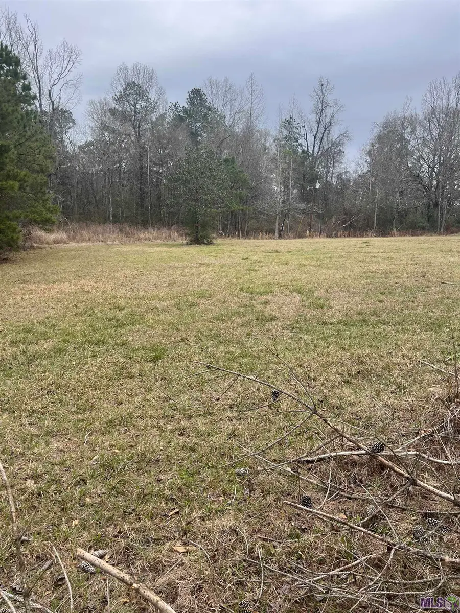 21814 Hunt Rd, Zachary, LA 70791 - #3