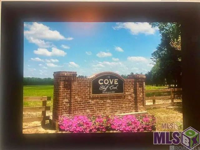 LOT 12 Lower C C Rd, Clinton, LA 70722 - #1