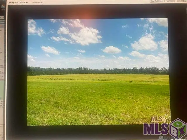 LOT 12 Lower C C Rd, Clinton, LA 70722 - #2