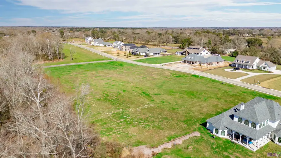 Lot 13 Manchac Reserve Dr, Baton Rouge, LA 70817 - #3