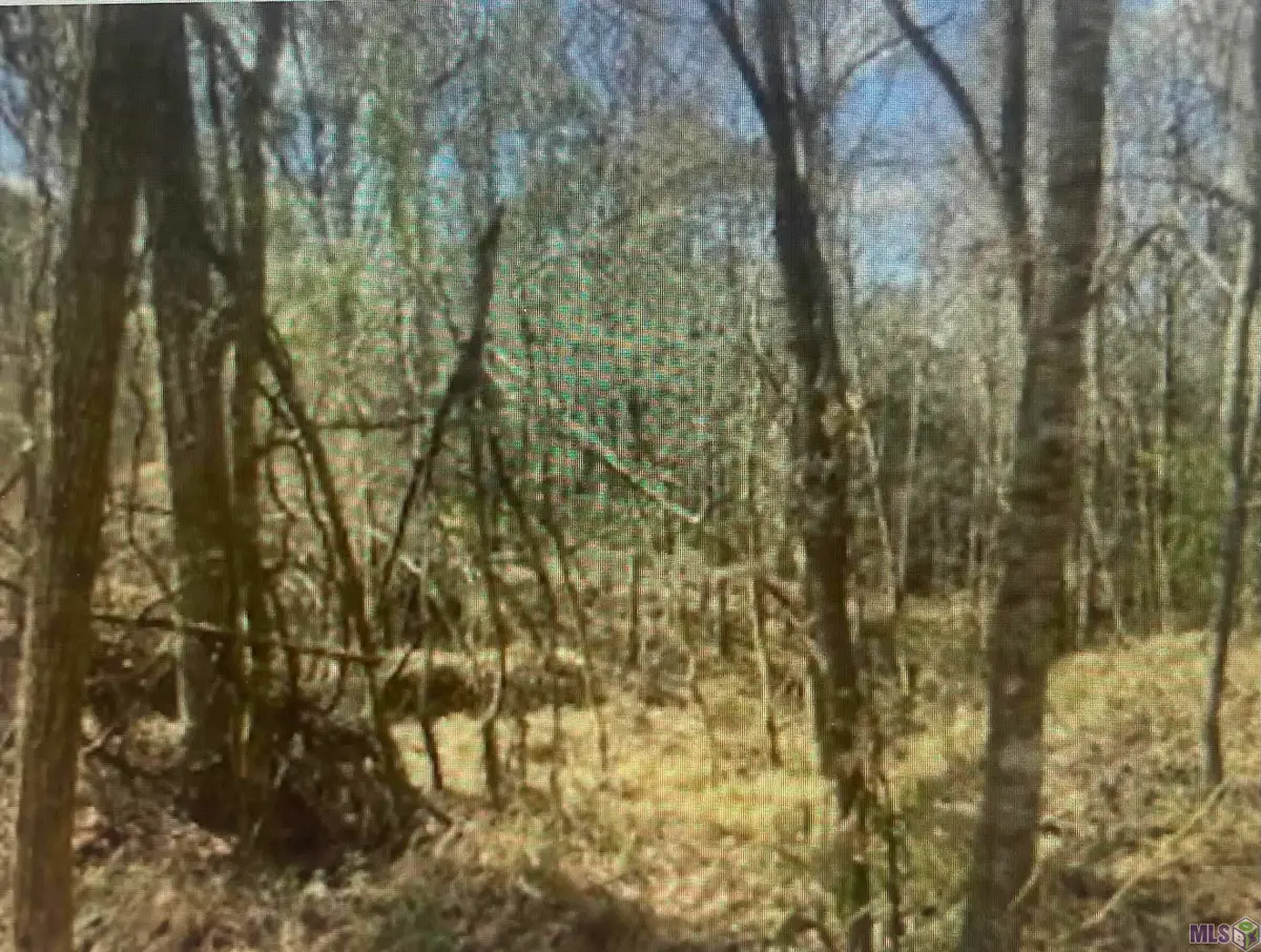 00 Turkey Creek Rd, Natchez, MS 39120 - #1