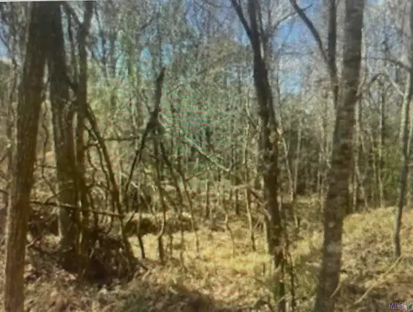 00 Turkey Creek Rd, Natchez, MS 39120