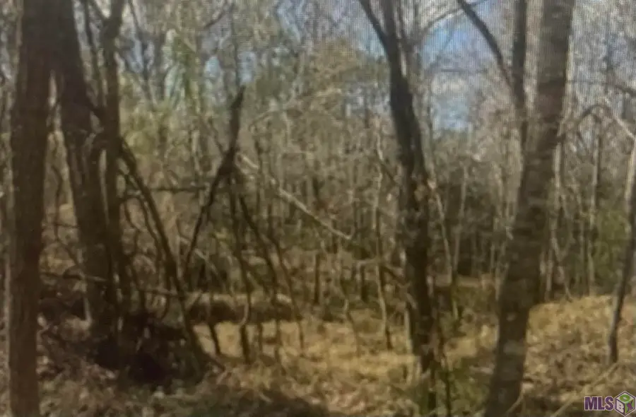 00 Turkey Creek Rd, Natchez, MS 39120 - #3