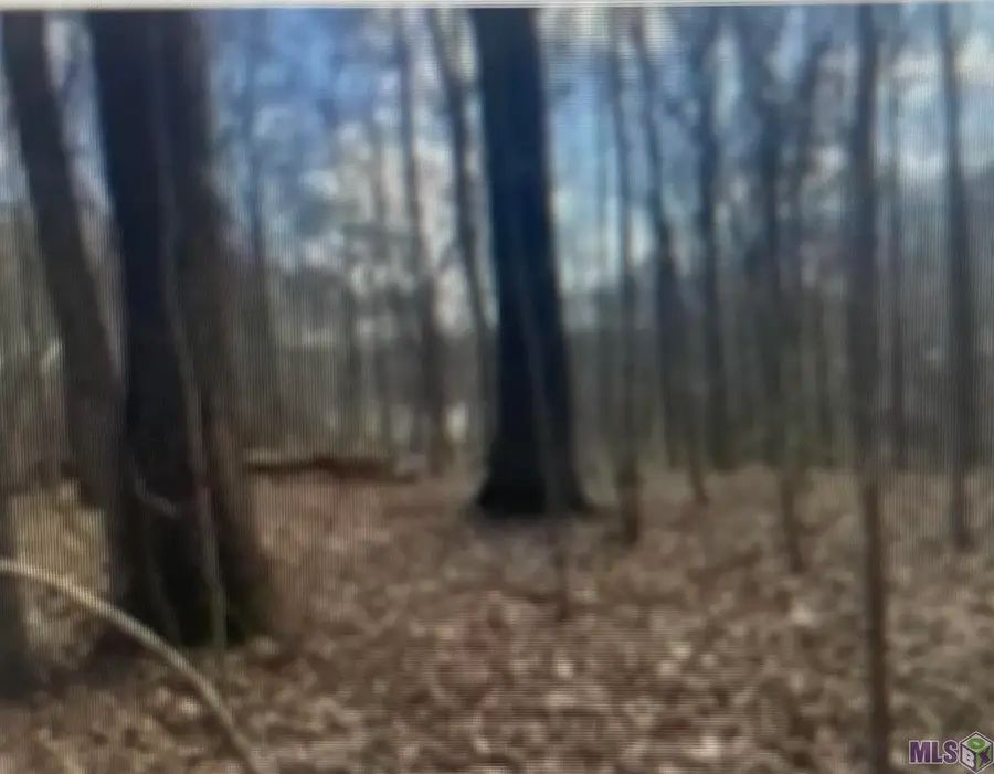 0 Turkey Creek Rd, Natchez, MS 39120 - #2