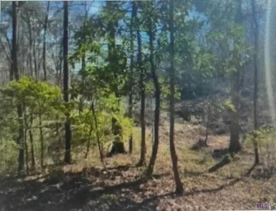 0 Turkey Creek Rd, Natchez, MS 39120 - #3