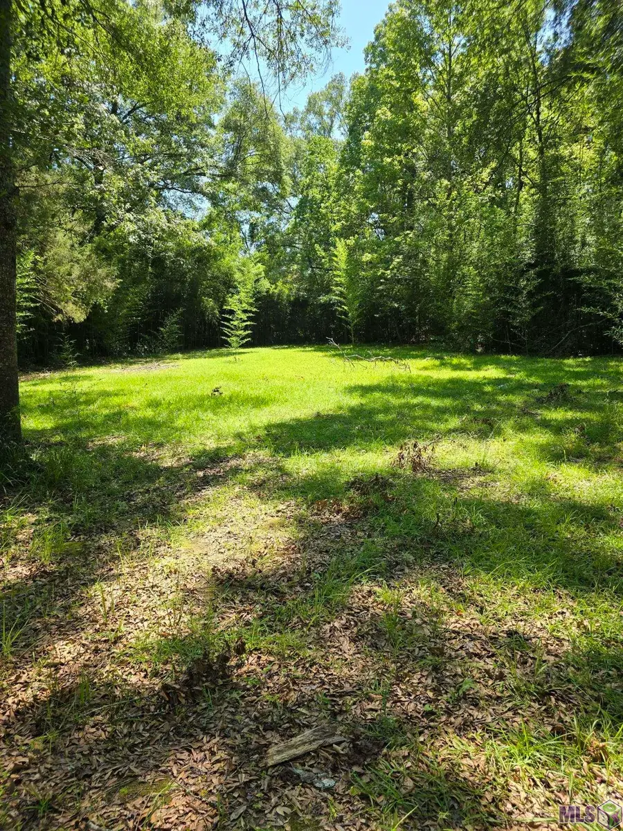 7215 Lower Zachary Rd, Zachary, LA 70791 - #3