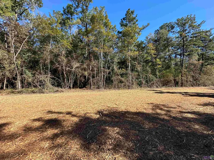 26.85 Acres Heritage Acres Ln, Robert, LA 70455 - #2
