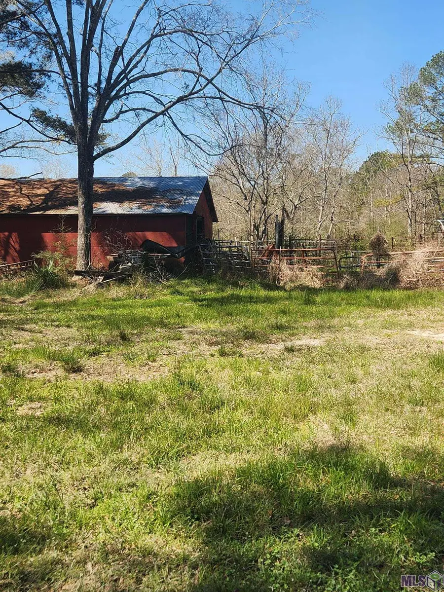 33050 Nancy Dr, Walker, LA 70785 - #3