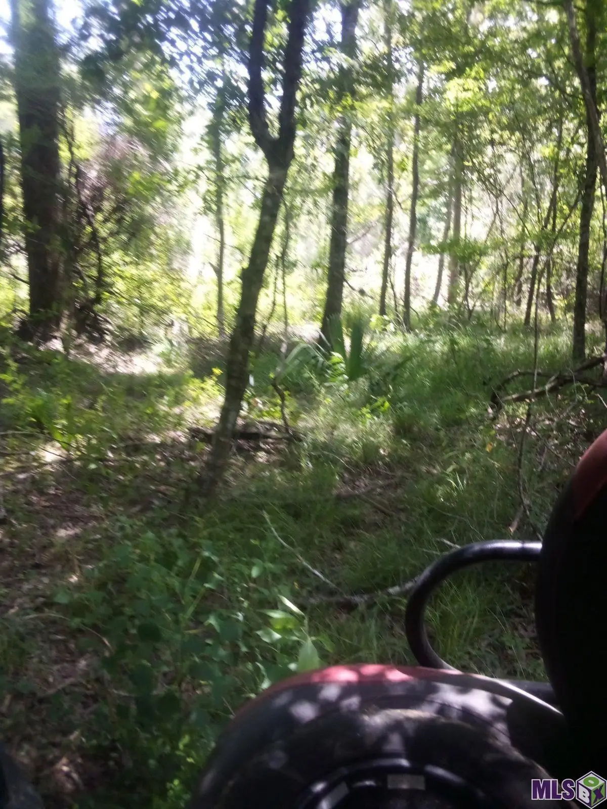 TBD Kathy's Cv, Walker, LA 70785 - #1