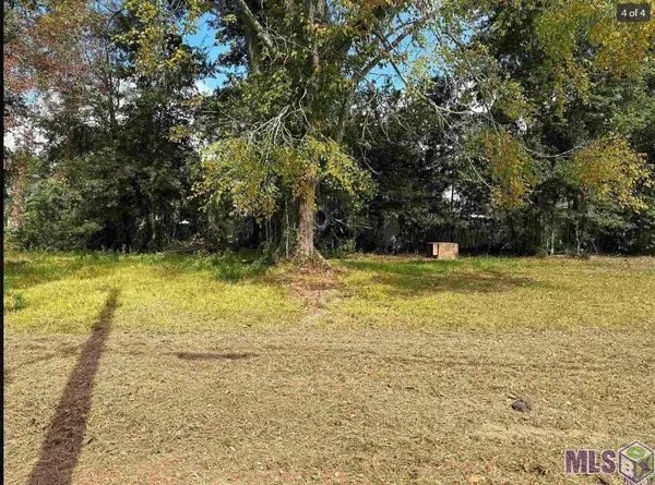 545 Cotton, Baton Rouge, LA 70802