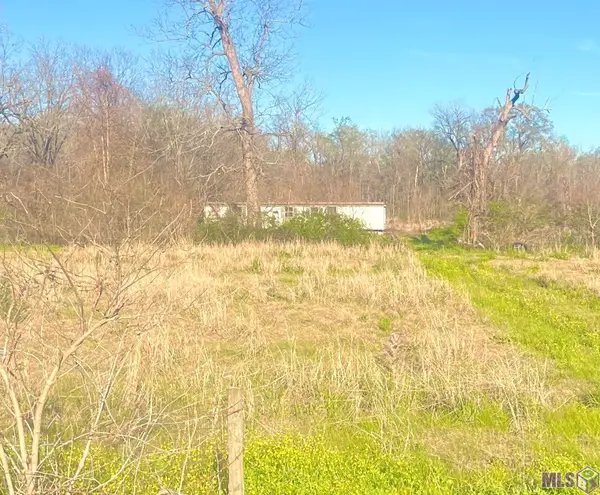 8330 Bueche Rd, Bueche, LA 70729