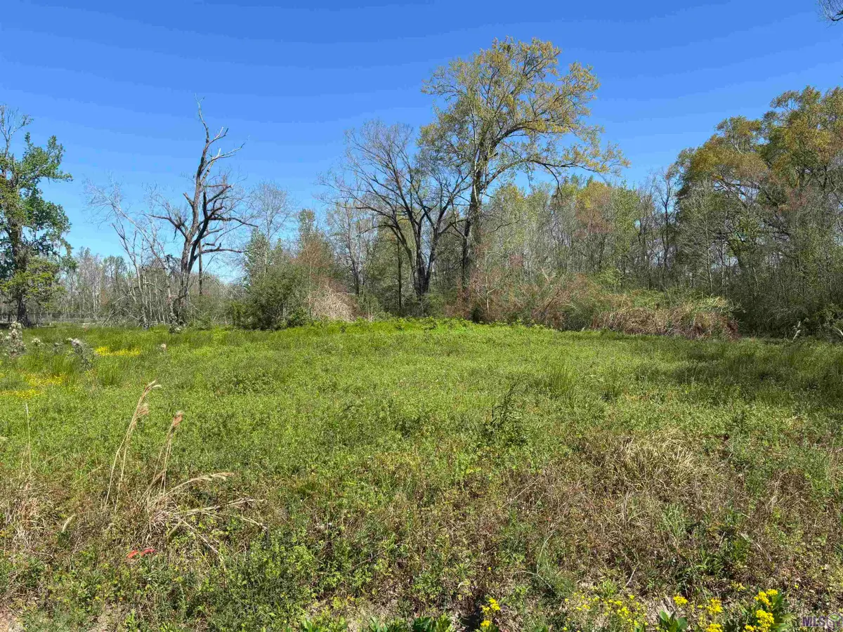Don Lou Rd, Gonzales, LA 70737 - #1
