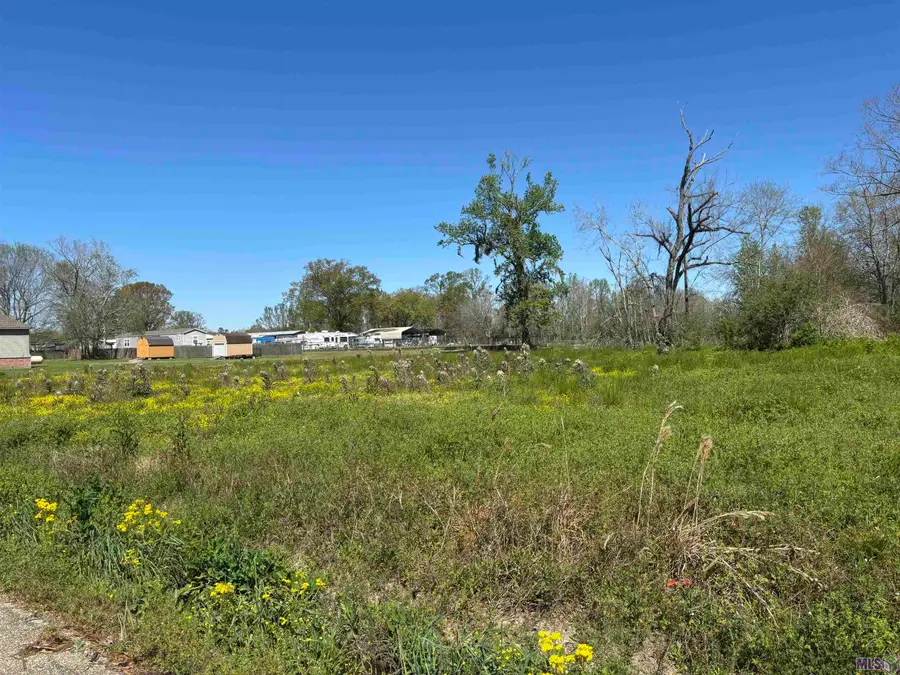 Don Lou Rd, Gonzales, LA 70737 - #3