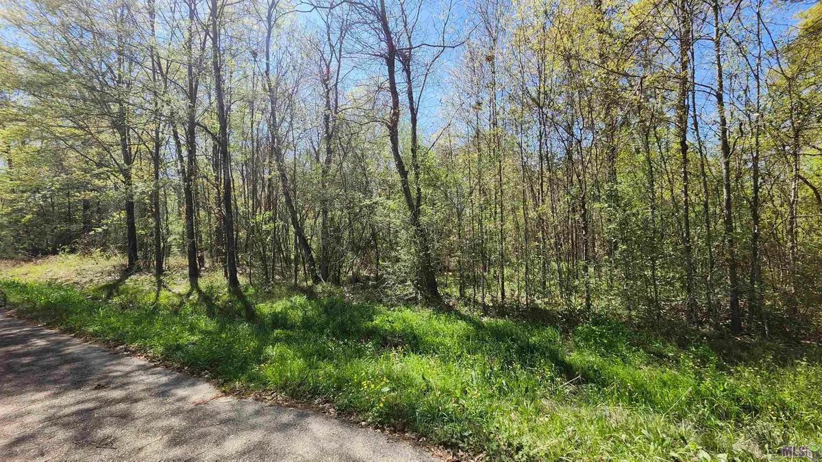 TBD Sunnybrook Dr, Baton Rouge, LA 70814 - #1