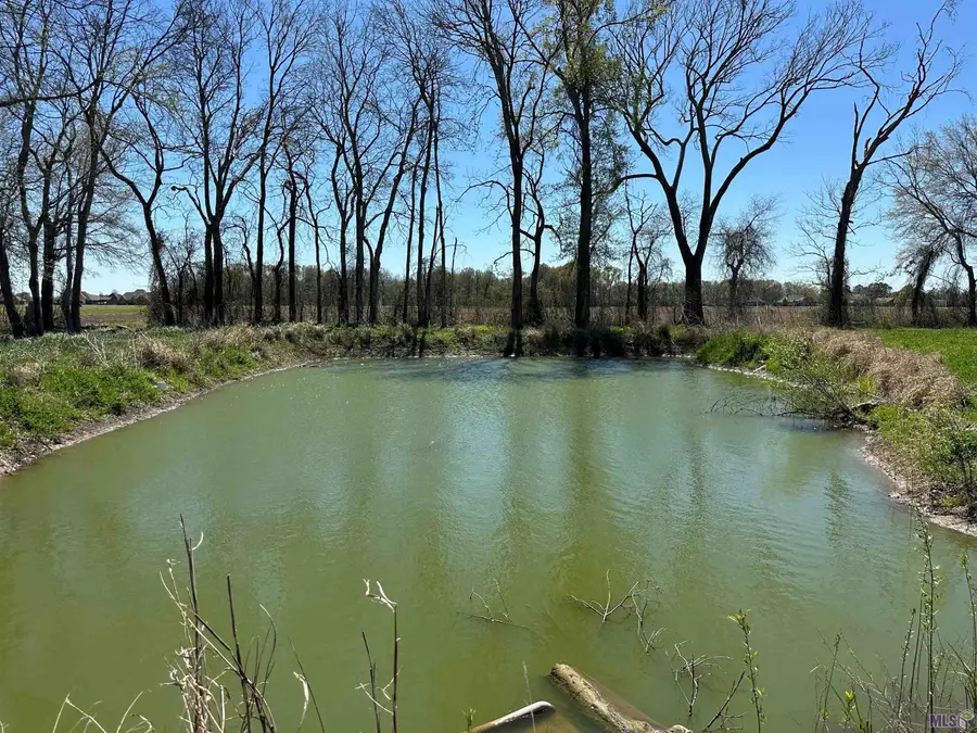 9765 Skynet Lane, Bueche, LA 70729 - #2