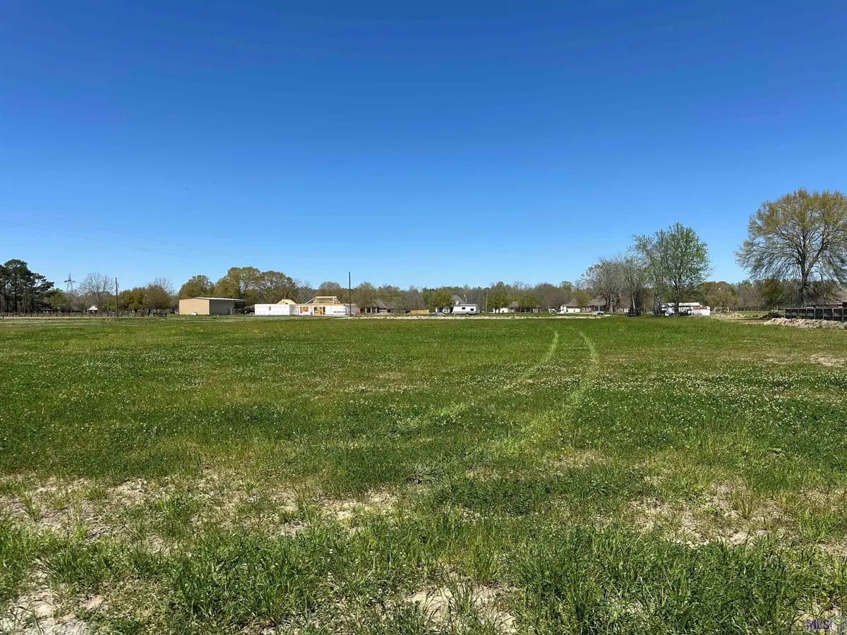 9766 Skynet Lane, Bueche, LA 70729 - #1