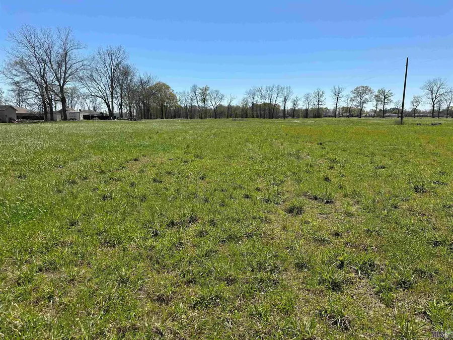 9766 Skynet Lane, Bueche, LA 70729 - #2