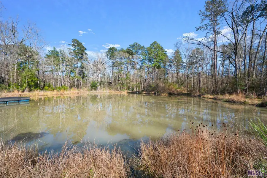 36116 Walker North Rd, Walker, LA 70785 - #3
