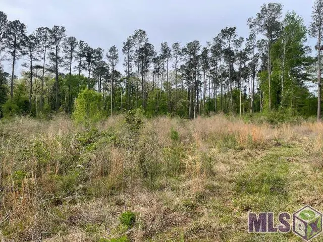 Monica Ln, Hammond, LA 70403 - #1