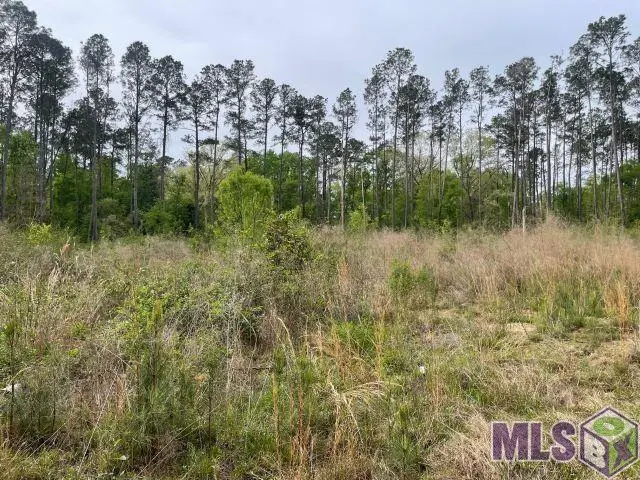 Monica Ln, Hammond, LA 70403 - #2