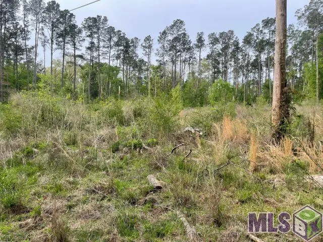 Monica Ln, Hammond, LA 70403 - #3