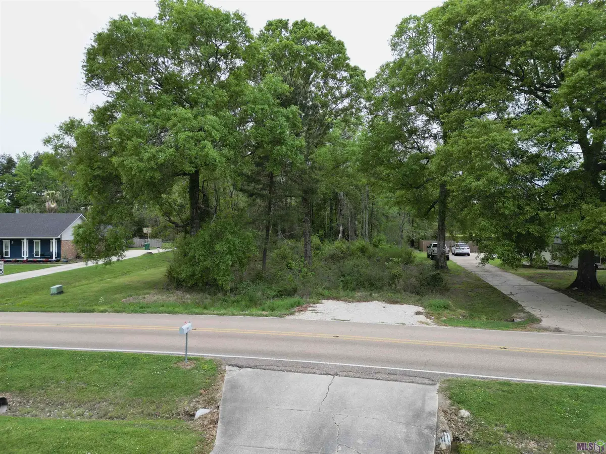 25371 Plantation Ave, Denham Springs, LA 70726 - #1