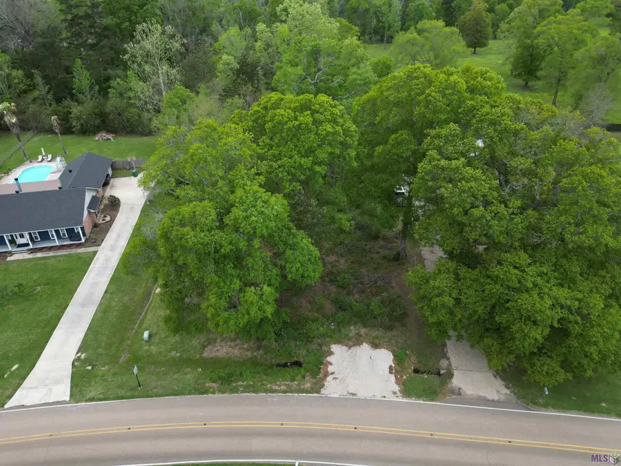 25371 Plantation Ave, Denham Springs, LA 70726 - #2