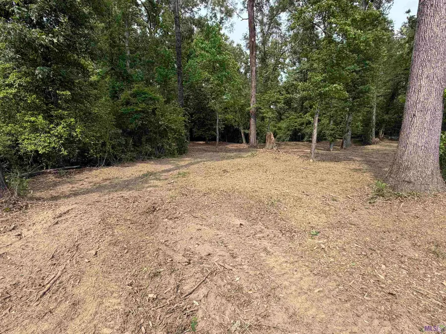 4353 Lower C C Rd, Clinton, LA 70722 - #3