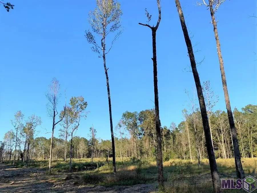 1A La Hwy 63, Clinton, LA 70722 - #3