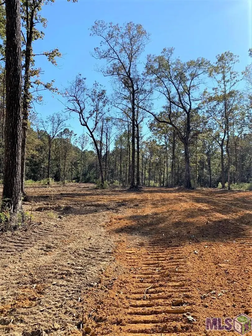 1B La Hwy 63, Clinton, LA 70722 - #3