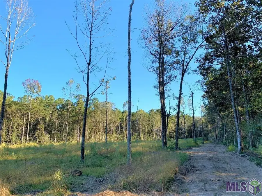 1E La Hwy 63, Clinton, LA 70722 - #2