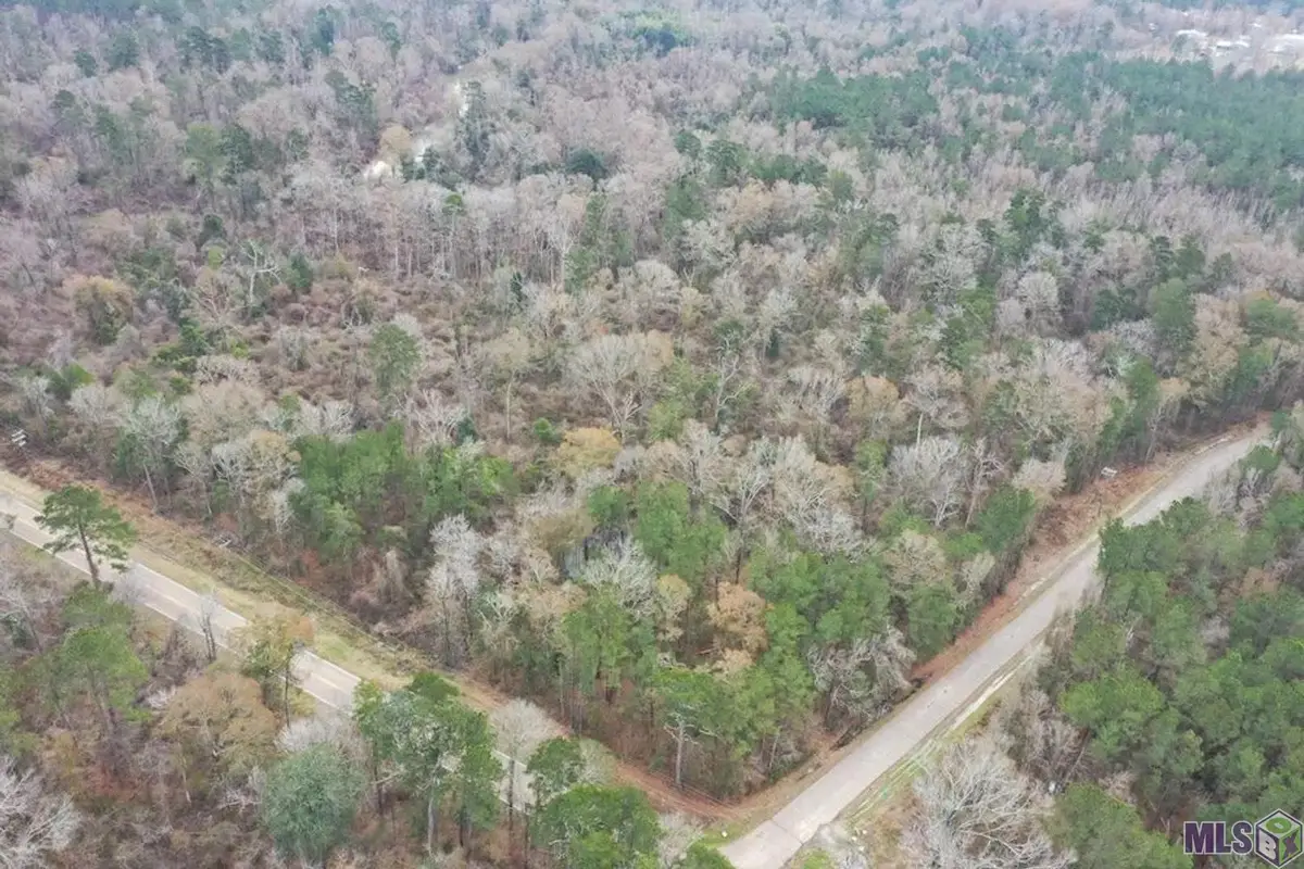 TBD -PIC 3 Charles Holden Rd, Holden, LA 70744 - #1