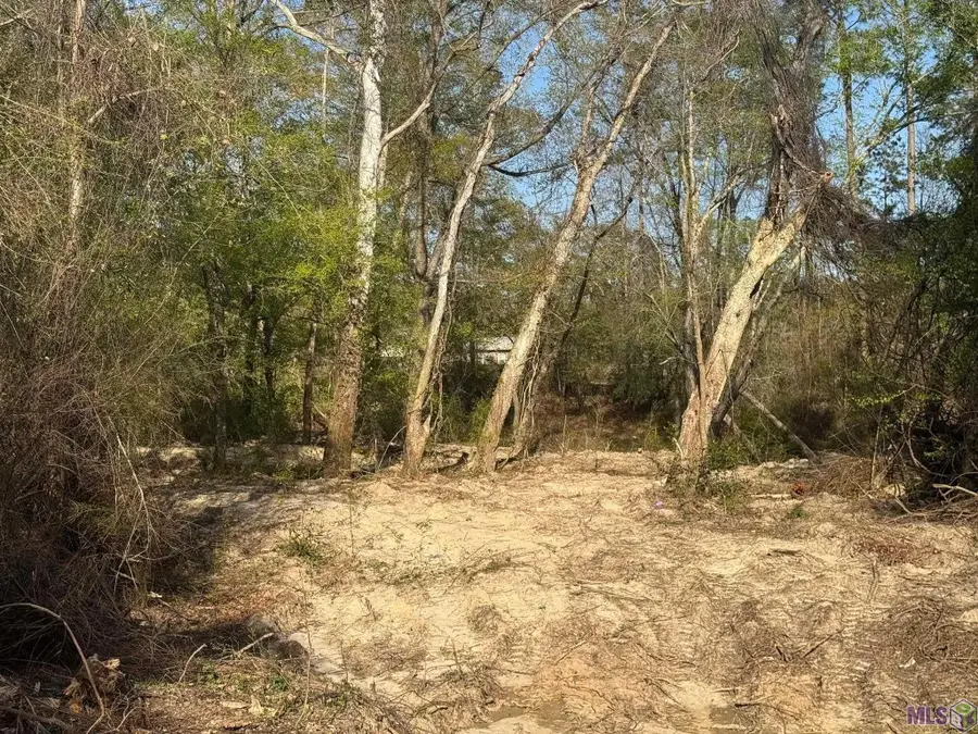 TBD -PIC 3 Charles Holden Rd, Holden, LA 70744 - #3