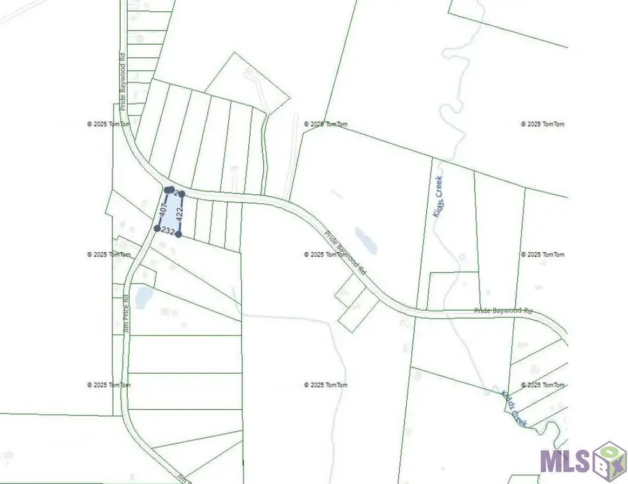 TBD Tract 1 Pride-baywood Rd, Pride, LA 70770 - #2