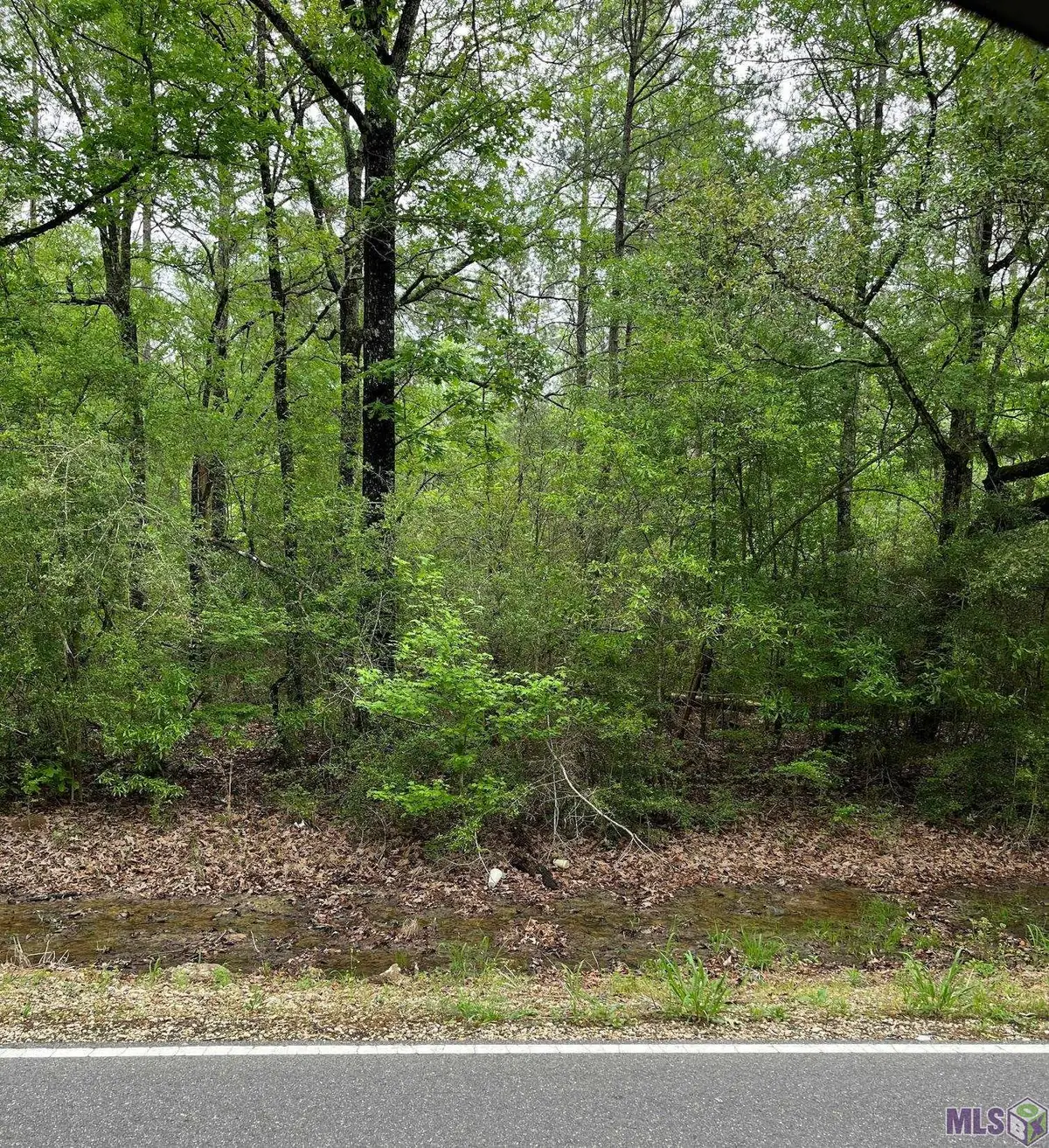 TBD Tract 2 Pride-baywood Rd, Pride, LA 70770 - #1