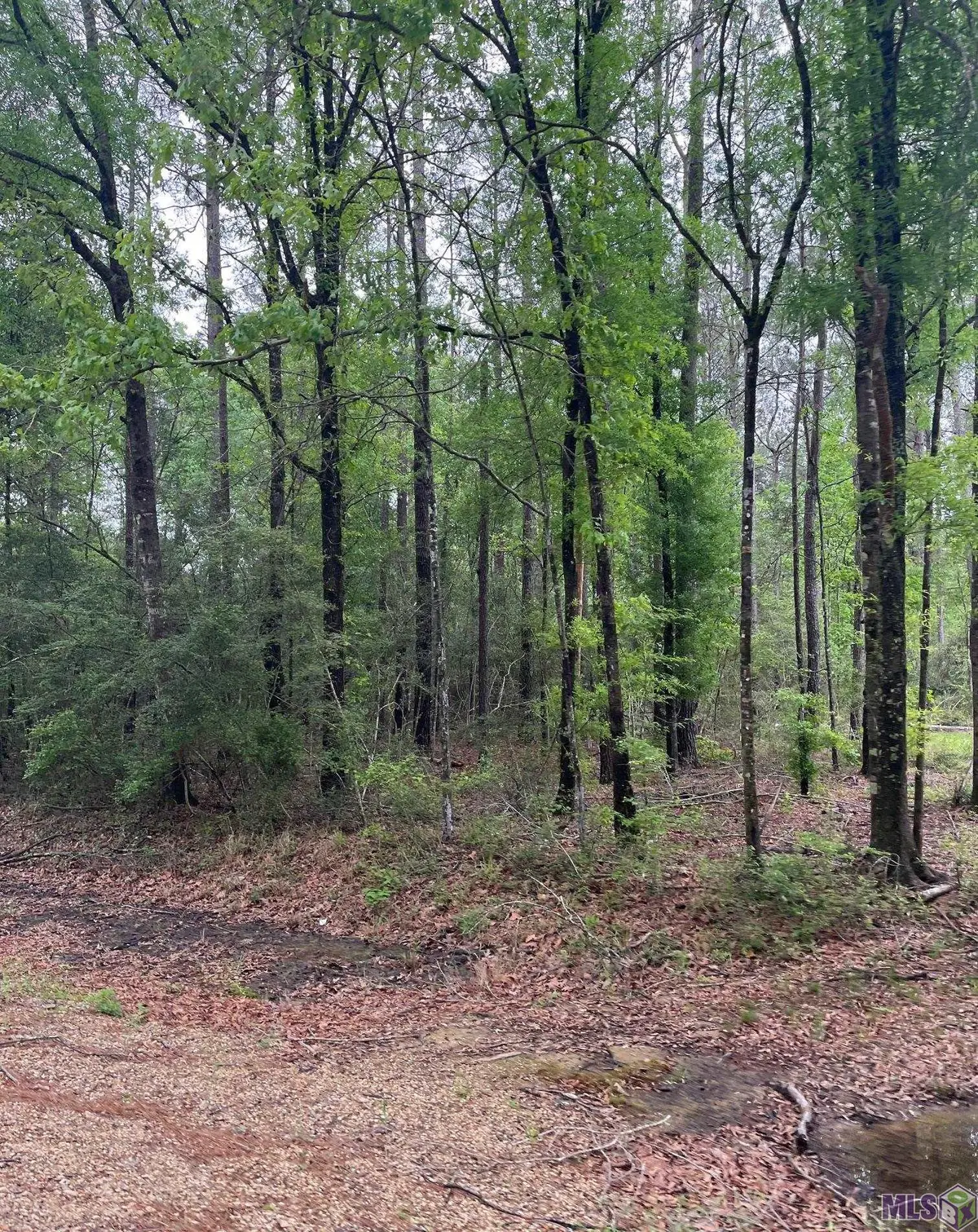 TBD Tract 5 Pride-baywood Rd, Pride, LA 70770 - #1