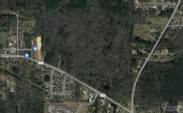 SEC 26-5-3 La Hwy 1019, Denham Springs, LA 70706