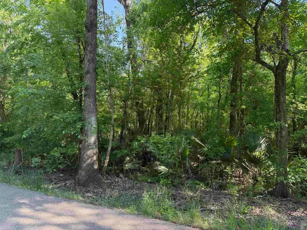 Tract 2-A-2 Melancon Rd, St. Amant, LA 70774