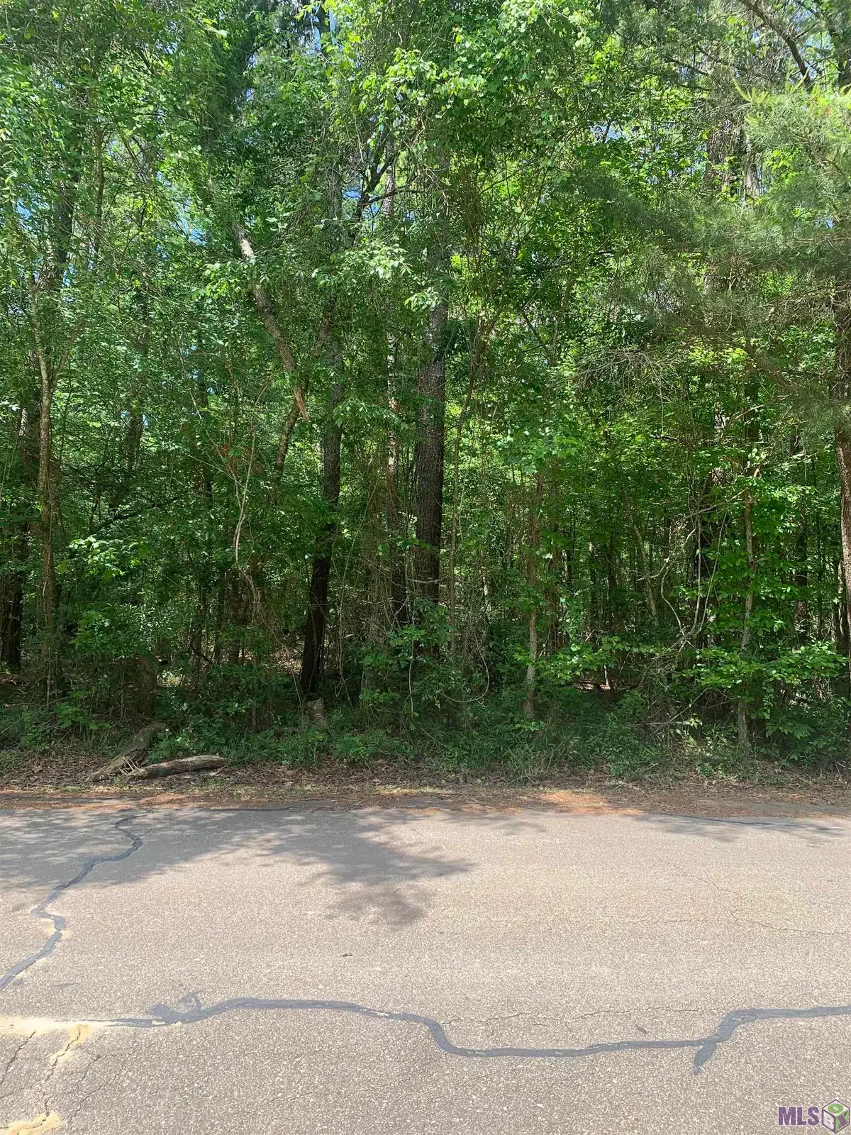 1.362 acres Winfield Ben, Walker, LA 70785 - #1