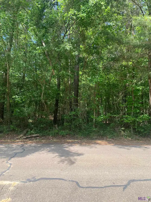 1.362 acres Winfield Ben, Walker, LA 70785