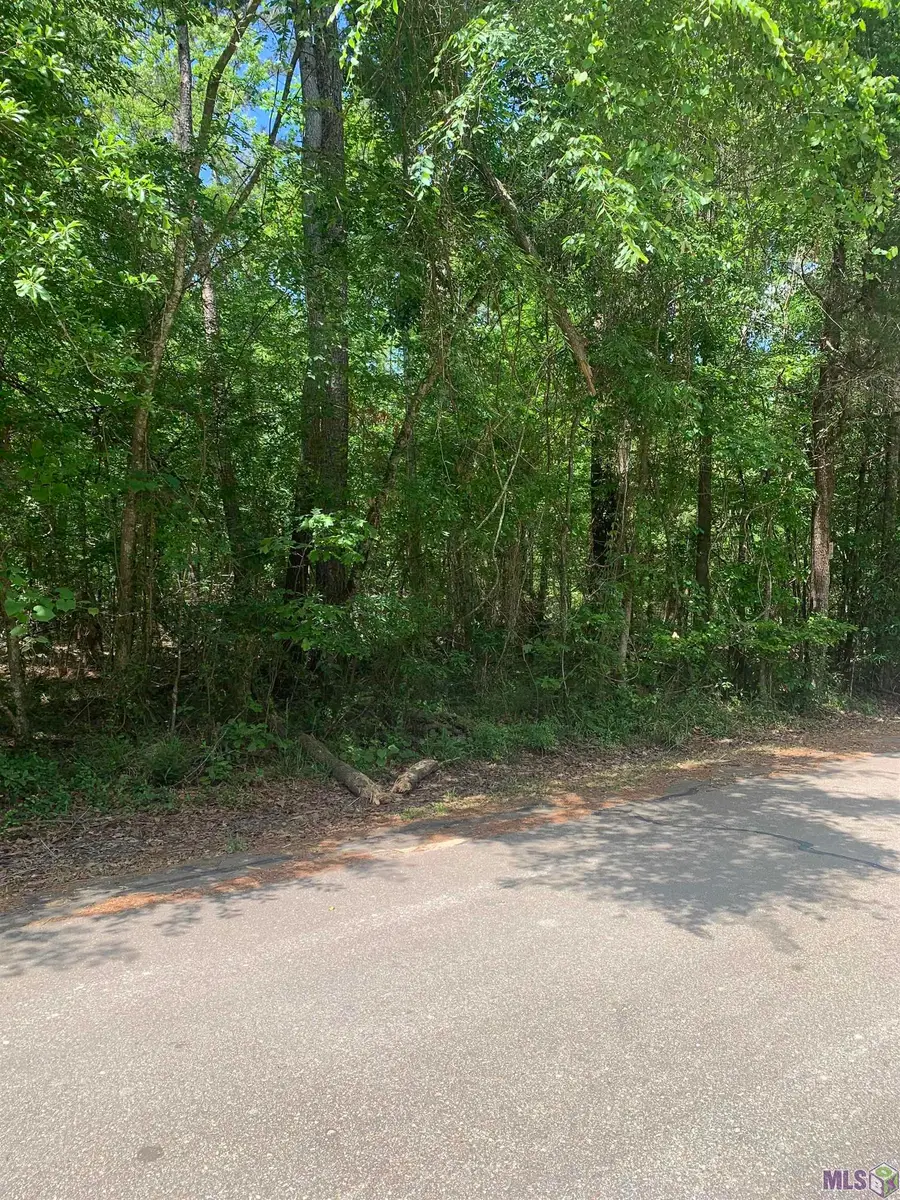 1.362 acres Winfield Ben, Walker, LA 70785 - #2